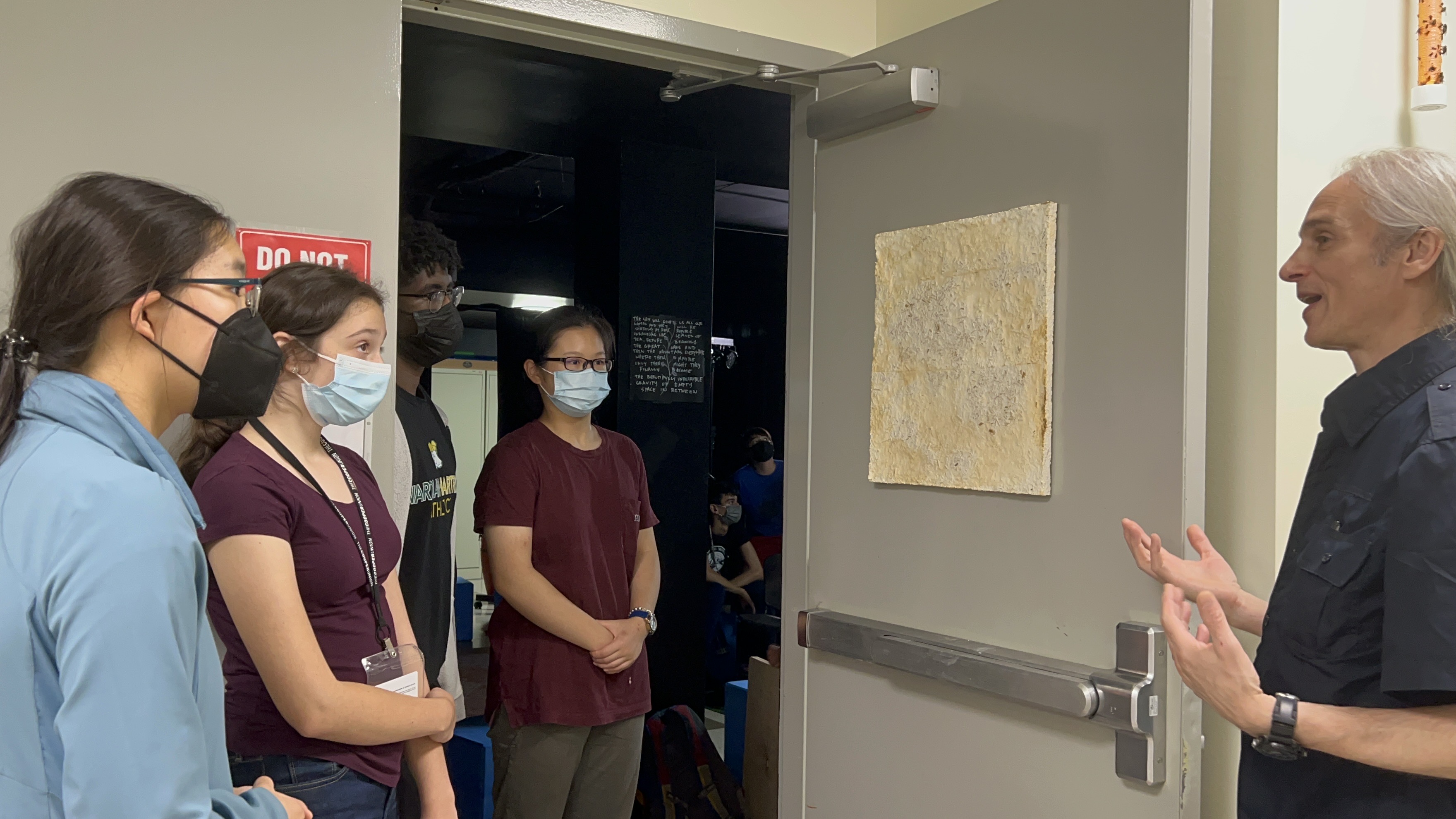 Magnetic mycomaterial acoustic panel