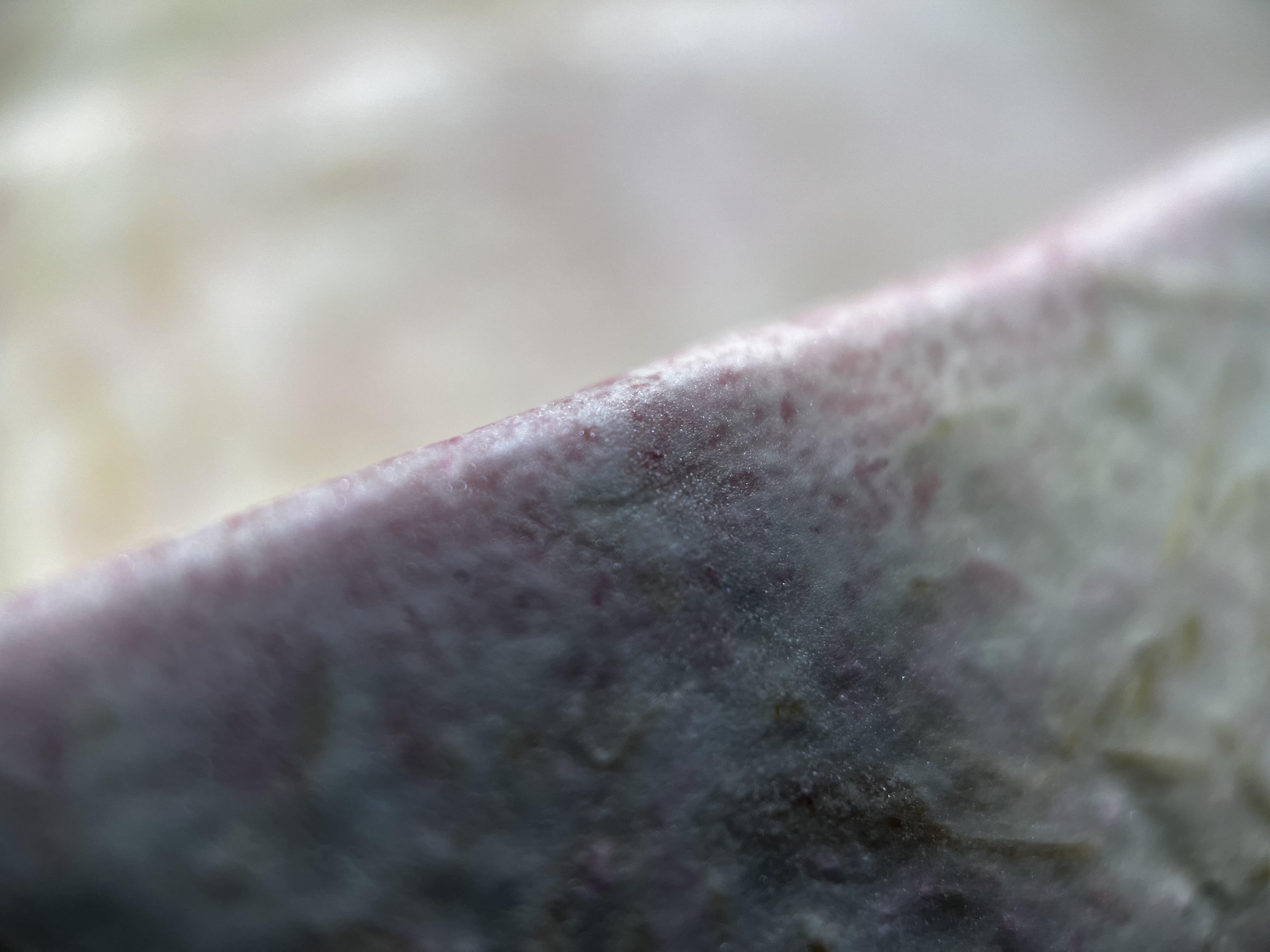 Purple yam powder dye close up